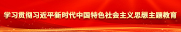 非洲女人骚穴学习贯彻习近平新时代中国特色社会主义思想主题教育